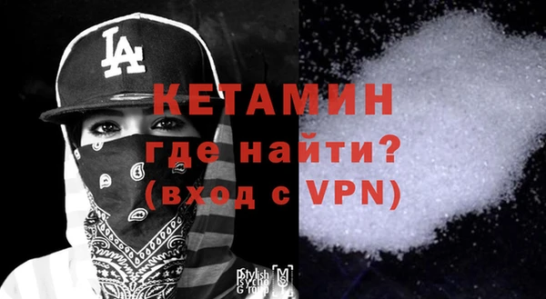 гашик Няндома