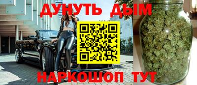 сатива Гагарин